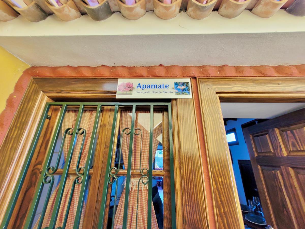 Apartament Bollullo Sunset - Apamate La Orotava Zewnętrze zdjęcie